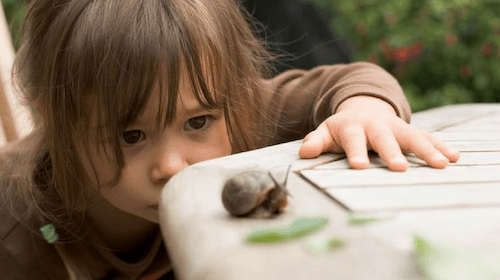 How To Instill Your Kids With A Love Of Nature snail